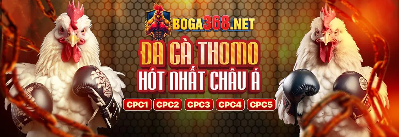 Giới hạn cược cao hơn và ưu đãi khác ho88 nhà cái
